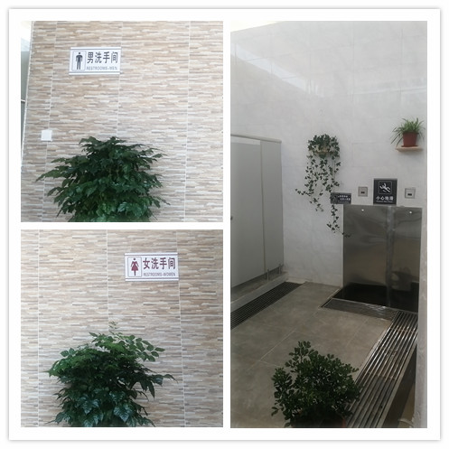 33b0cf96d6cfcb397af6e5cb6d0b0dc_副本.jpg