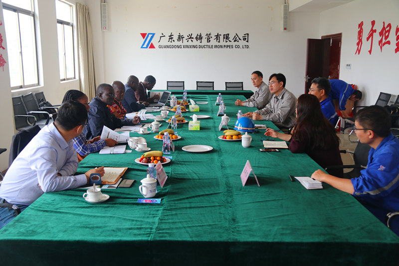 科特迪瓦业主代表团到我司参观