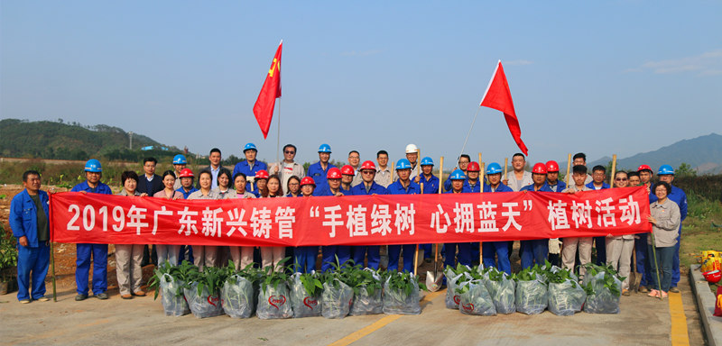 活力新兴，绿色铸管——公司组织党工团联合开展植树活动