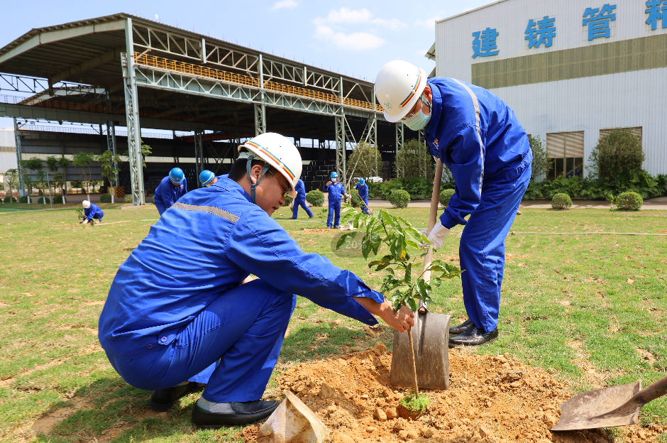 广东新兴铸管开展“同造绿水青山，共建绿色工厂”植树活动