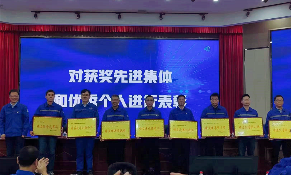 公司荣获股份公司“精益成果创新奖”荣誉称号