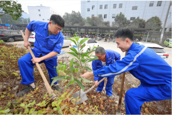 春风添绿 助力“双碳”——公司组织志愿者开展2023年植树节活动