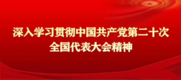 动控党支部强化党建引领 全力推进项目建设