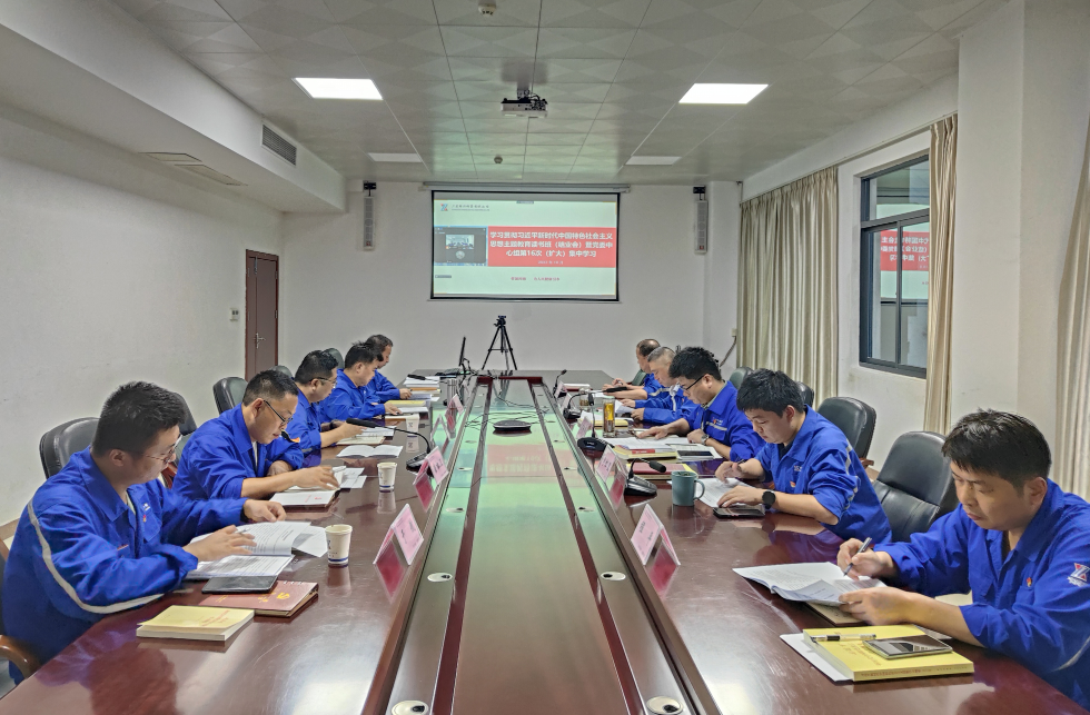 主题教育丨公司党委学习贯彻习近平新时代中国特色社会主义思想主题教育读书班结班