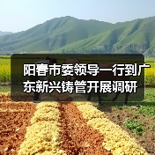 阳春市委领导一行到广东新兴铸管开展调研