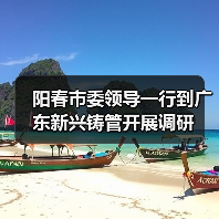 阳春市委领导一行到广东新兴铸管开展调研