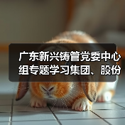 广东新兴铸管党委中心组专题学习集团、股份两级年会精神 广东新兴铸管党委中心组专题学习集团、股份两级年会精神