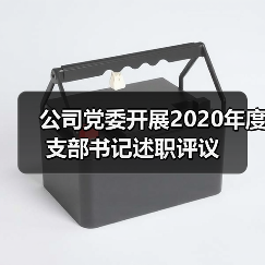 公司党委开展2020年度支部书记述职评议 公司党委开展2020年度支部书记述职评议