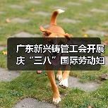 广东新兴铸管工会开展庆“三八”国际劳动妇女节系列活动 广东新兴铸管工会开展庆“三八”国际劳动妇女节系列活动
