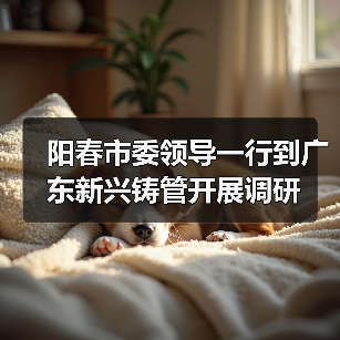 阳春市委领导一行到广东新兴铸管开展调研 阳春市委领导一行到广东新兴铸管开展调研