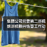 集团公司党委第二巡视组巡视新兴铸管工作动员会在京召开(图3) 集团公司党委第二巡视组巡视新兴铸管工作动员会在京召开(图3)