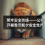 筑牢安全防线——公司开展春节前夕安全生产大检查(图2) 筑牢安全防线——公司开展春节前夕安全生产大检查(图2)