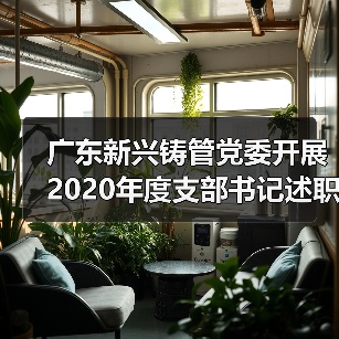 广东新兴铸管党委开展2020年度支部书记述职评议