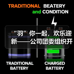 “羽”你一起，欢乐迎新——公司团委组织开展迎春节暖心活动