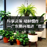 科学决策 精耕细作 ——广东新兴推进“质量效益提升年”取得阶段性成效(图2) 科学决策 精耕细作 ——广东新兴推进“质量效益提升年”取得阶段性成效(图2)