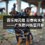 喜乐闹元宵 迎春向未来——广东新兴铸管开展元宵活动精彩纷呈