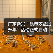 广东新兴“质量效益提升年”活动正式启动(图2) 广东新兴“质量效益提升年”活动正式启动(图2)