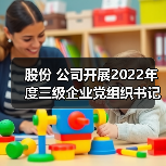 股份 公司开展2022年度三级企业党组织书记抓基层党建述职评议考核(图4) 股份 公司开展2022年度三级企业党组织书记抓基层党建述职评议考核(图4)