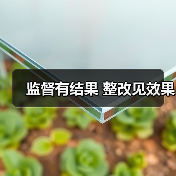 监督有结果 整改见效果(图4) 监督有结果 整改见效果(图4)