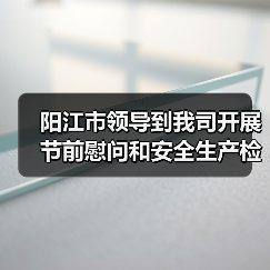 阳江市领导到我司开展节前慰问和安全生产检查工作(图4) 阳江市领导到我司开展节前慰问和安全生产检查工作(图4)