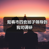阳春市四套班子领导到我司调研