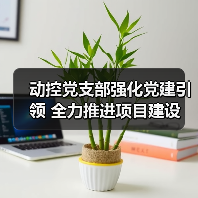 动控党支部强化党建引领 全力推进项目建设(图4) 动控党支部强化党建引领 全力推进项目建设(图4)