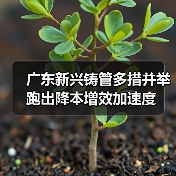 广东新兴铸管多措并举跑出降本增效加速度(图3) 广东新兴铸管多措并举跑出降本增效加速度(图3)