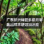 广东新兴铸管多措并举跑出降本增效加速度(图2) 广东新兴铸管多措并举跑出降本增效加速度(图2)