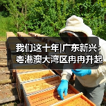 我们这十年|广东新兴：粤港澳大湾区冉冉升起的科创新星