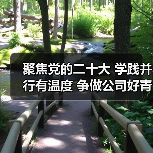 聚焦党的二十大 学践并行有温度 争做公司好青年(图3) 聚焦党的二十大 学践并行有温度 争做公司好青年(图3)