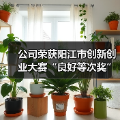公司荣获阳江市创新创业大赛“良好等次奖”！
