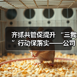 齐抓共管促提升 “三我”行动保落实——公司质量月活动项目稳步推进（图4）