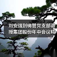 刘安强到铸管党支部讲授集团股份年中会议精神