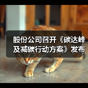 股份公司召开《碳达峰及减碳行动方案》发布会（图3）