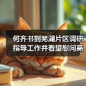 何齐书到芜湖片区调研指导工作并看望慰问高温一线职工(图2) 何齐书到芜湖片区调研指导工作并看望慰问高温一线职工(图2)