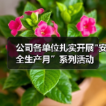 公司各单位扎实开展