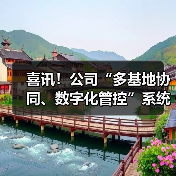 喜讯！公司“多基地协同、数字化管控”系统“6.30”项目主体功能上线仪式隆重举行（图3）