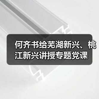 何齐书给芜湖新兴、桃江新兴讲授专题党课（图3）