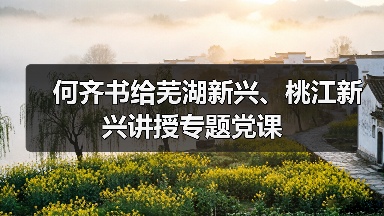 何齐书给芜湖新兴、桃江新兴讲授专题党课（图4）