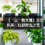 【“三”我主题】党员风采:扛起担当之责(图2) 【“三”我主题】党员风采:扛起担当之责(图2)