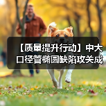 【质量提升行动】中大口径管椭圆缺陷攻关成效明显（图4）