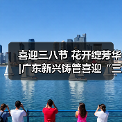 喜迎三八节 花开绽芳华|广东新兴铸管喜迎“三八”国际劳动妇女节系列活动暨颁奖典礼