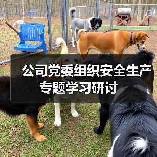 公司党委组织安全生产专题学习研讨(图2) 公司党委组织安全生产专题学习研讨(图2)