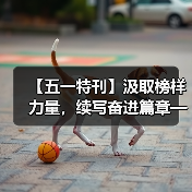 【五一特刊】汲取榜样力量，续写奋进篇章——侯云峰（图3）