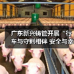 广东新兴铸管开展“行车与守则相伴 安全与幸福同在”交通安全主题教育（图2）