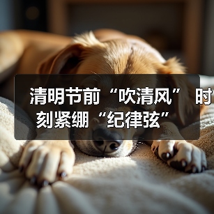 清明节前“吹清风” 时刻紧绷“纪律弦”（图4）