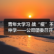 青年大学习 战“疫”不停学——公司团委召开团委会扩大会议（图4）