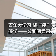 青年大学习 战“疫”不停学——公司团委召开团委会扩大会议