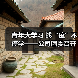 青年大学习 战“疫”不停学——公司团委召开团委会扩大会议（图2）