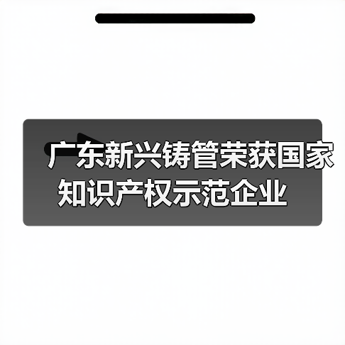 广东新兴铸管荣获国家知识产权示范企业(图3) 广东新兴铸管荣获国家知识产权示范企业(图3)